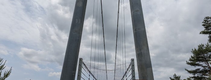 空の散歩道 is one of 静岡県の吊橋.