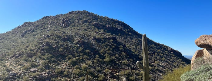 Pinnacle Peak Highest Point On The Trail is one of Arizona.