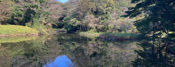 水鳥の池 is one of lake-kanagawa.