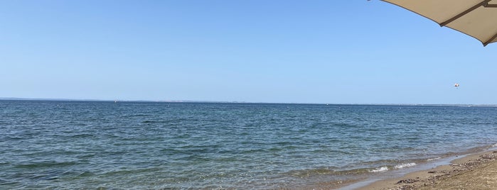 Ikos Olivia Private Beach is one of Selanik.