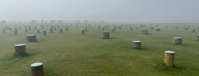 Woodhenge is one of Salisbury & Teffont Evias.