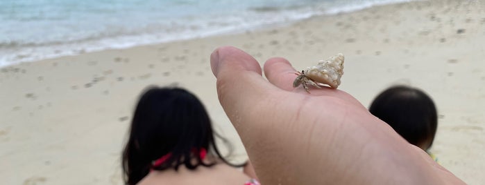 Tokashiku Beach is one of สถานที่ที่ Dewy ถูกใจ.