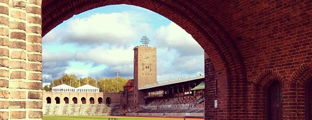 Stockholms Stadion is one of Classic Stockholm.