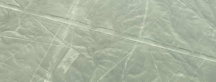 Nazca lines is one of Tempat yang Disukai Gianluca.