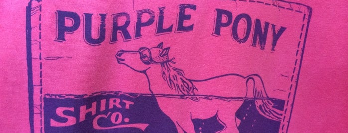 Purple Pony Shirt Company is one of Couples Vacation-Chincatque, Va.
