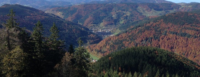 Silberberg is one of Black Forest Mountains.