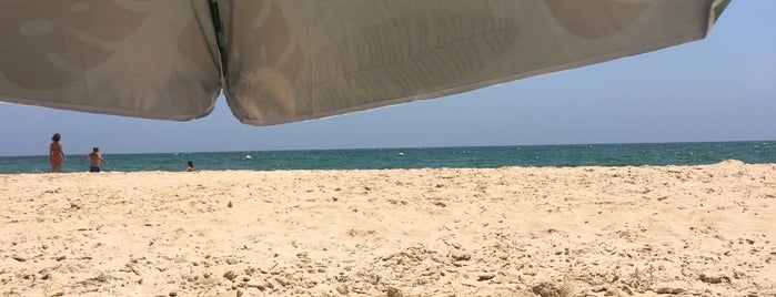 Praia de Adão e Eva is one of Algarve.