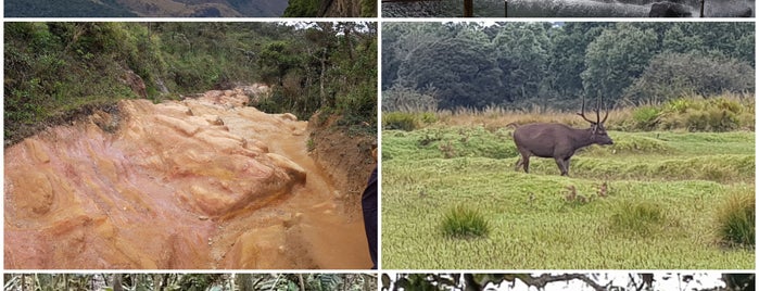 Horton Plains National Park is one of S'ın Beğendiği Mekanlar.