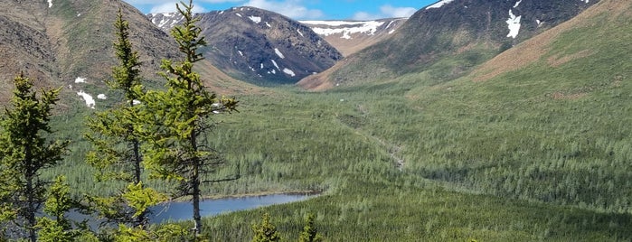 Parc National de la Gaspésie is one of Sさんのお気に入りスポット.