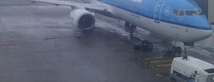 KLM Flight Amsterdam To Edinburgh is one of In the ayer.