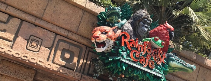 Rainforest Cafe is one of Let's Go Out to Eat!!.
