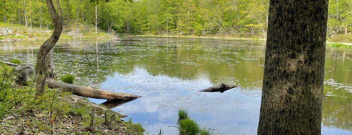 John Allen Pond is one of Hikes, Explorations & Scenic Spots.