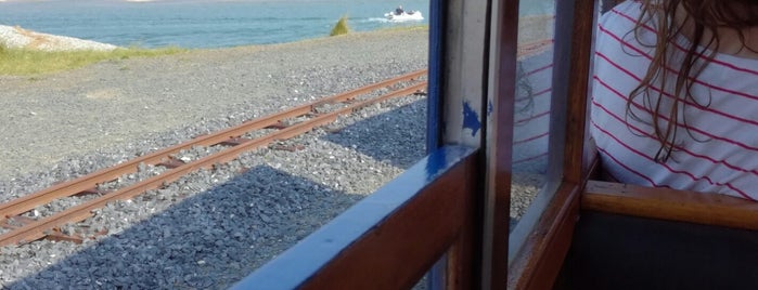 The Fairbourne Miniture Railway is one of Cadair View Lodge 30 Minute Drive Ring.