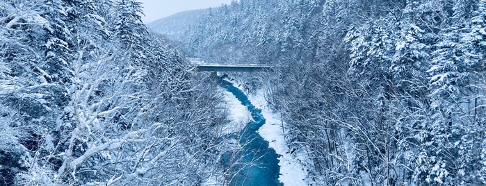 Blue River Bridge is one of よりみち.