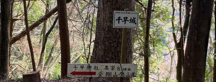 千早城跡 is one of 日本 100 名城.