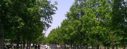 Toneri Park is one of 公園・庭園巡り.