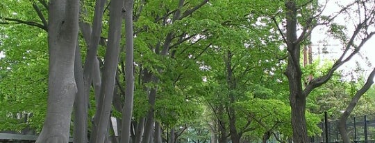 Johoku Chuo Park is one of 公園・庭園巡り.
