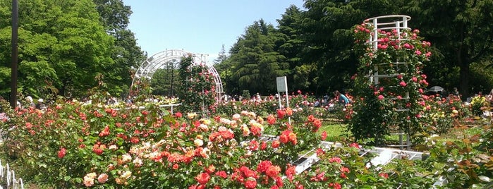 Yoyogi Park is one of 公園・庭園巡り.