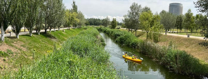 Parque del Agua Luis Buñuel is one of Top 10 de Lugares de Zaragoza.