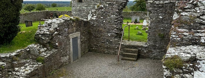 Arthur Guinness's Grave is one of A faire a Dublin.