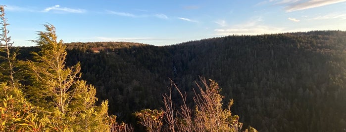 Blackwater Falls Overlook is one of Trips Home.