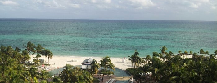 Grand Lucayan is one of Carol’s Liked Places.