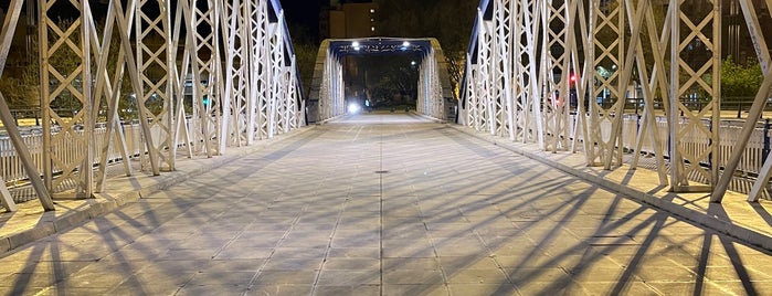 Puente del Pilar/Puente de Hierro is one of Zaragoza.