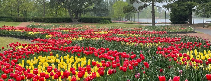 Floriade is one of Canberra.