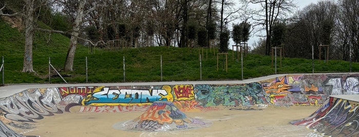 Skate Park is one of Skateparks..