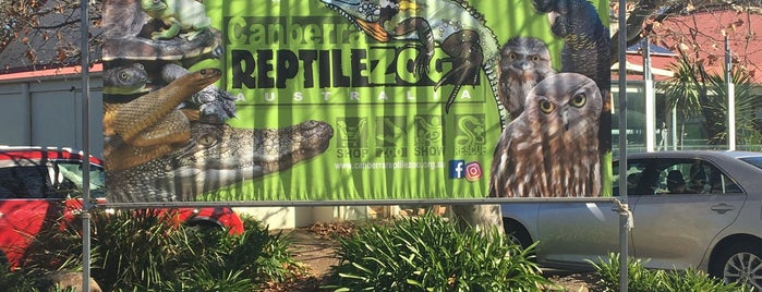 Canberra Reptile Zoo is one of Fun Group Activites around NSW.