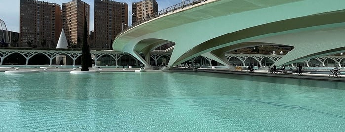 Pont de Montolivet is one of Puentes del Turia.