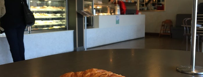 Italian Continental Bakery is one of Best Canberra coffee spots.