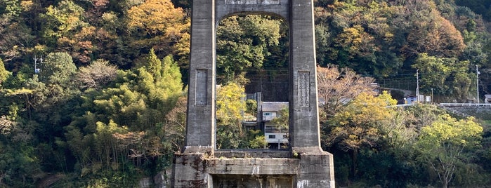 大川橋 is one of 吉野川にかかる橋.