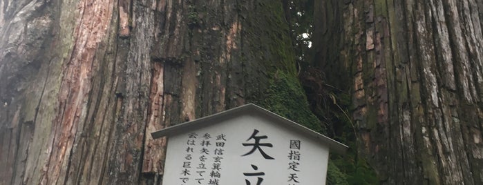 矢立杉 is one of 観光名所.