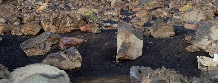 Haleakalā National Forest is one of Places I been to.