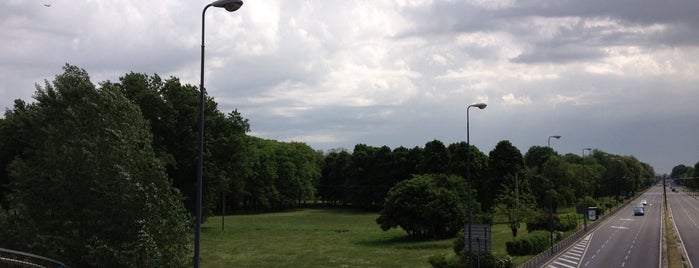 Parco Forlanini is one of Silvia’s Liked Places.