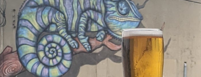 Laughing Monk Brewing is one of Beer 47 Craft Beer Guide to SF.