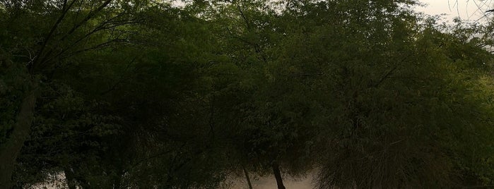 منتزه مشروع حجز الرمال is one of الأحساء.