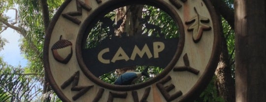 Camp Minnie-Mickey Greeting Trails is one of WdW Animal Kingdom.