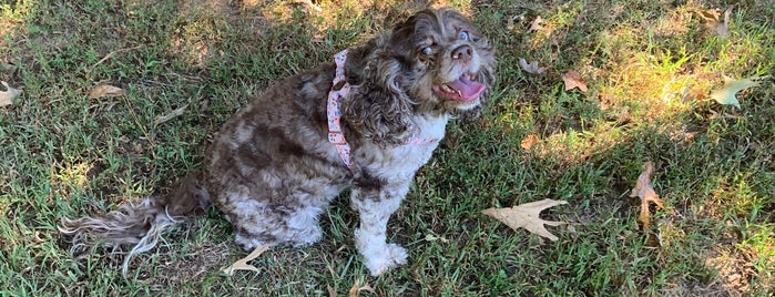 Pitner Road Dog Park is one of Atlanta Dog Parks.