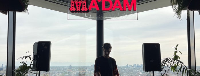 MADAM is one of Amsterdam 2019.