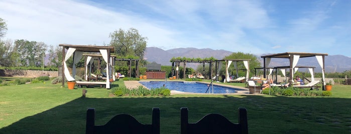 Patios de Cafayate Wine Hotel is one of Lucasさんのお気に入りスポット.