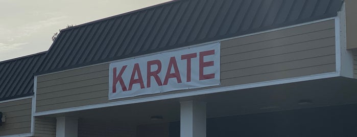 Shoshin Karate Academy is one of Lugares favoritos de Richard.