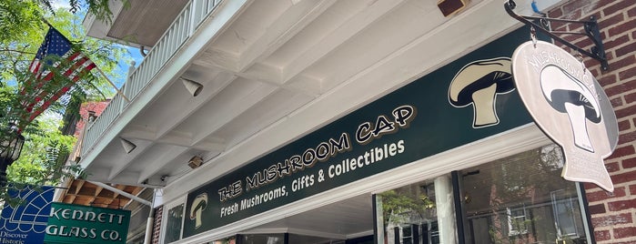 The Mushroom Cap is one of SE PA & Philly places.