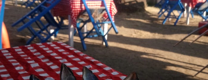 kamu misafirhaneleri