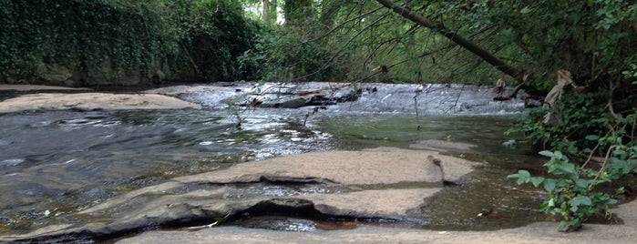 My new Solace Creek is one of Posti che sono piaciuti a Chester.
