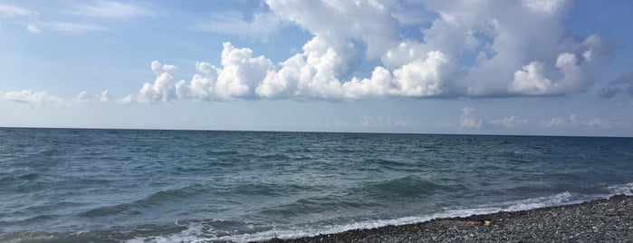Пляж Цандрыпш | ცანდრიფშის პლაჟი is one of Зе Абхазия.