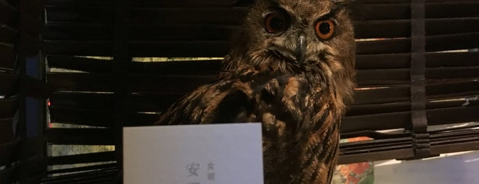 WISE OWL HOSTELS TOKYO is one of Tokyo.