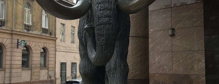Mammut I. is one of Lugares favoritos de N.