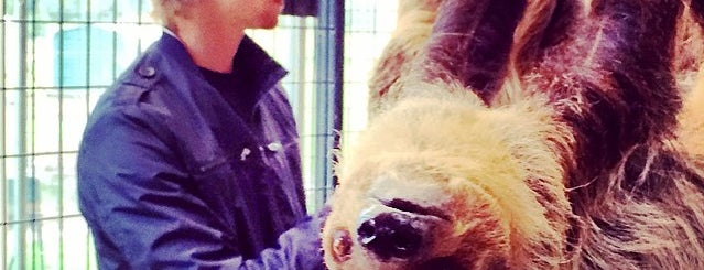 The Sloth Center is one of Portland.